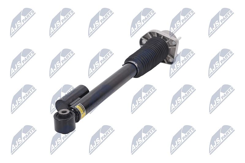 Amort, NTY A-LR-019