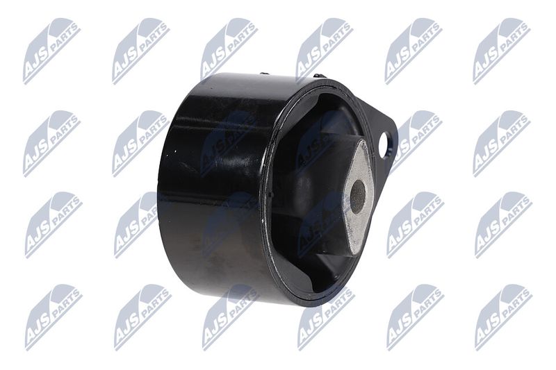 Paigutus, Mootor, NTY ZPS-CH-064