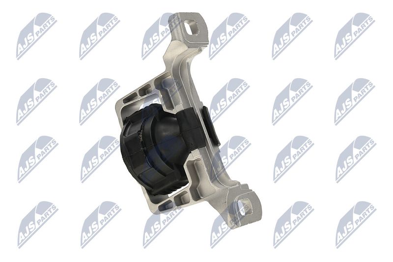 Paigutus, Mootor, NTY ZPS-FR-020