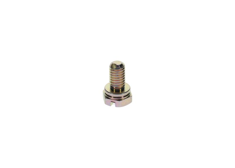 Surub 1 413 453 025 BOSCH