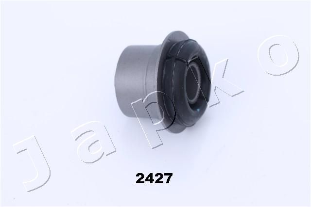 GOJ2427_1.JPG
