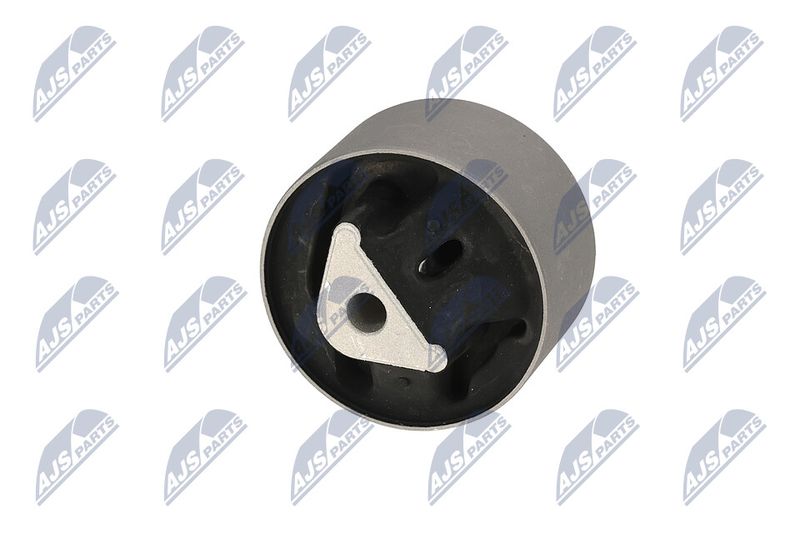 Paigutus, Mootor, NTY ZPS-CH-039