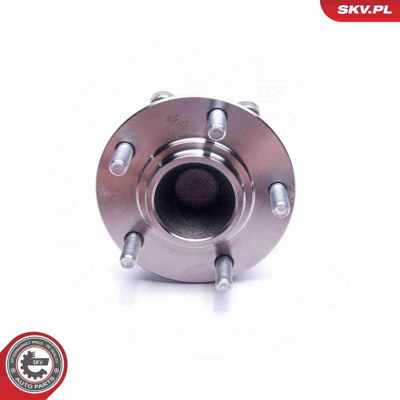 ESEN SKV 29SKV513 Wheel Bearing Kit