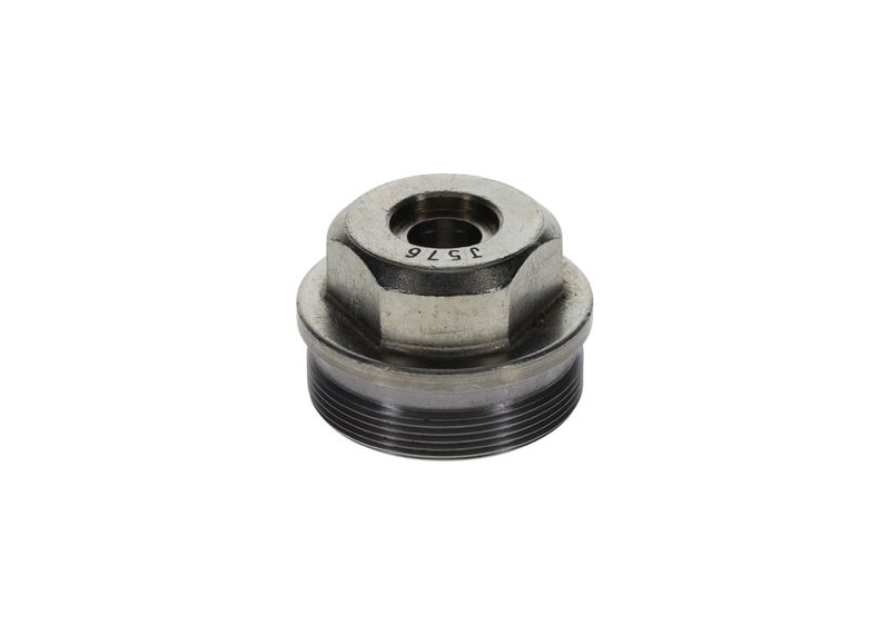 Surub F 002 D13 576 BOSCH