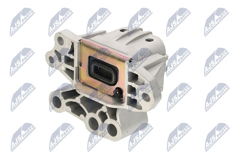 Paigutus, Mootor, NTY ZPS-CH-131