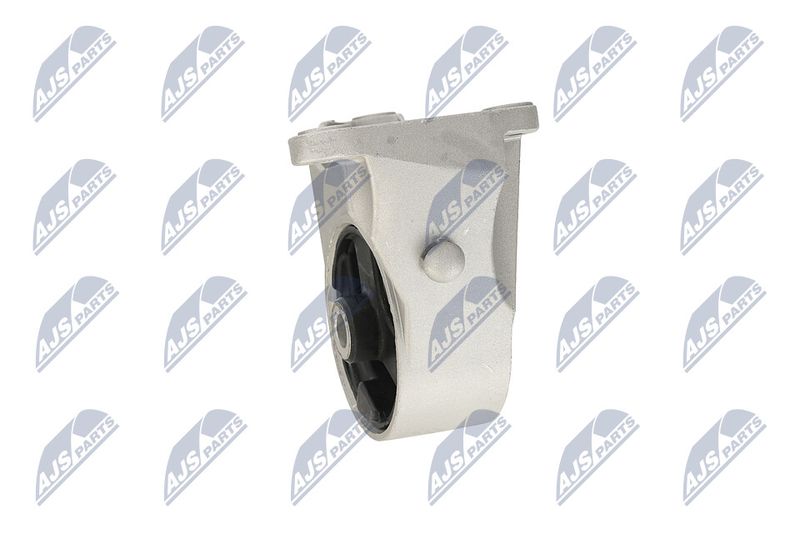 Paigutus, Mootor, NTY ZPS-PL-039
