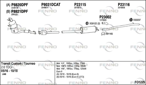 FO1229.JPG