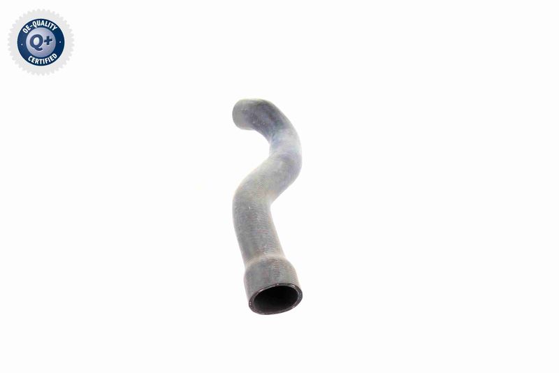 VAICO V30-2221 Radiator Hose