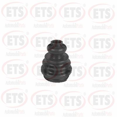 маншон, полуоска ETS