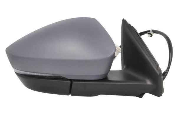 BLIC 5402-43-1926319P Exterior Mirror