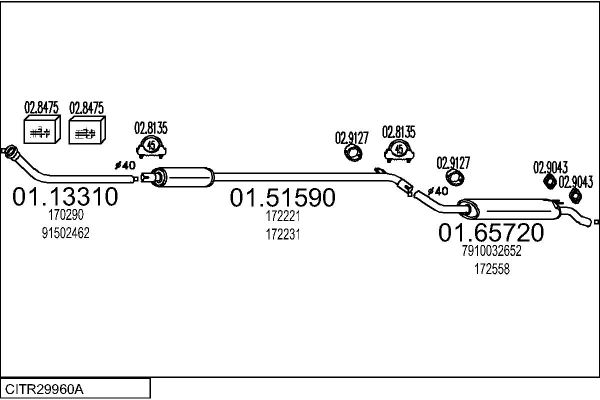 CITR29960A.JPG