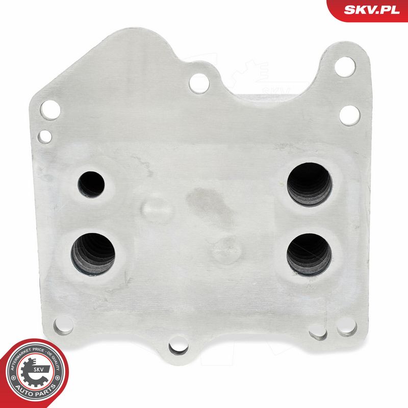 OEM код товара: 2132516