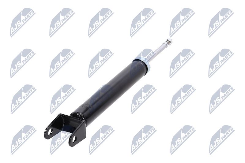 Amort, NTY A-CH-078