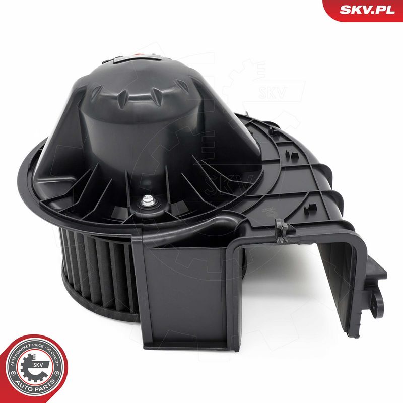 Salongipuhur, ESEN SKV...