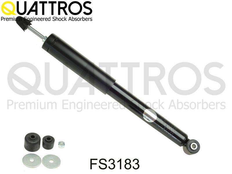 fs3183.JPG