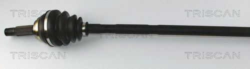 854042506_2.JPG