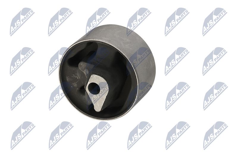 Paigutus, Mootor, NTY ZPS-CH-040