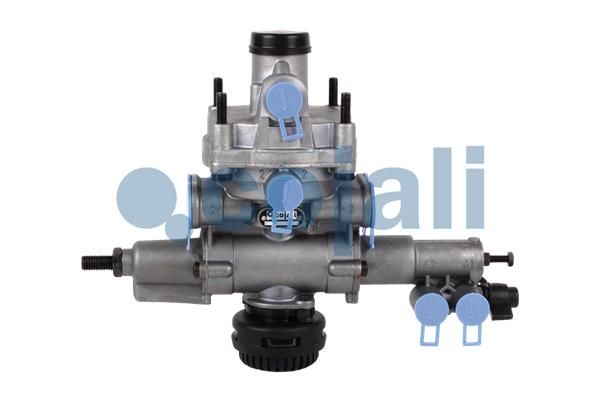Releu, ALB COJALI 2220479
