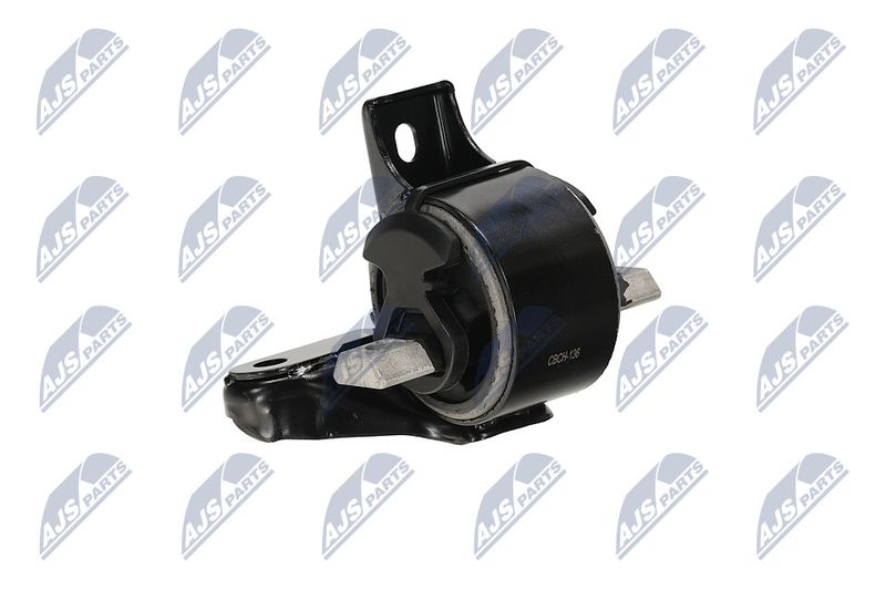 Paigutus, Mootor, NTY ZPS-CH-136