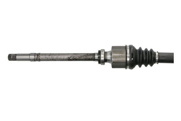 PASCAL G2P056PC Drive Shaft