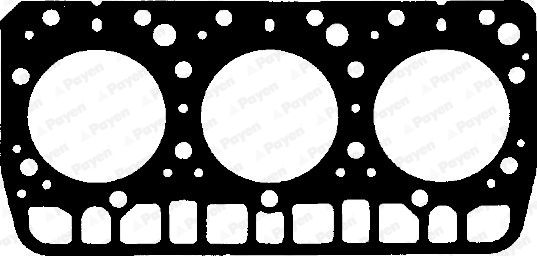 BG180_58003.JPG