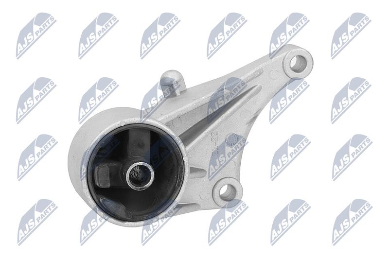 Paigutus, Mootor, NTY ZPS-PL-015