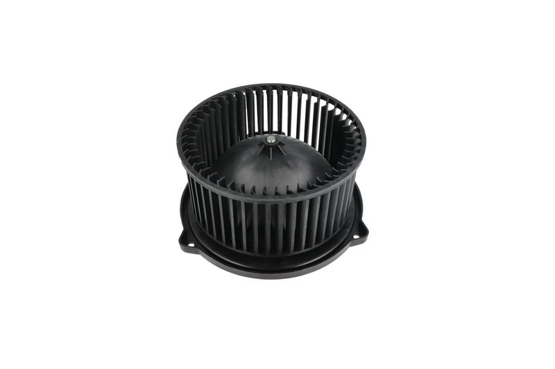 Salongipuhur, NRF 34331