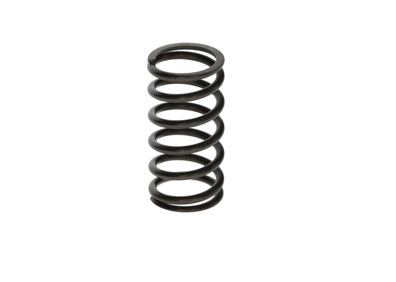 BOSCH F00N201853 Spring