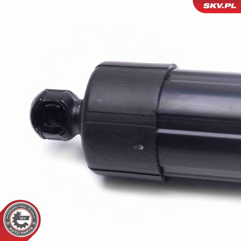 ESEN SKV 52SKV956 Electric Motor, tailgate