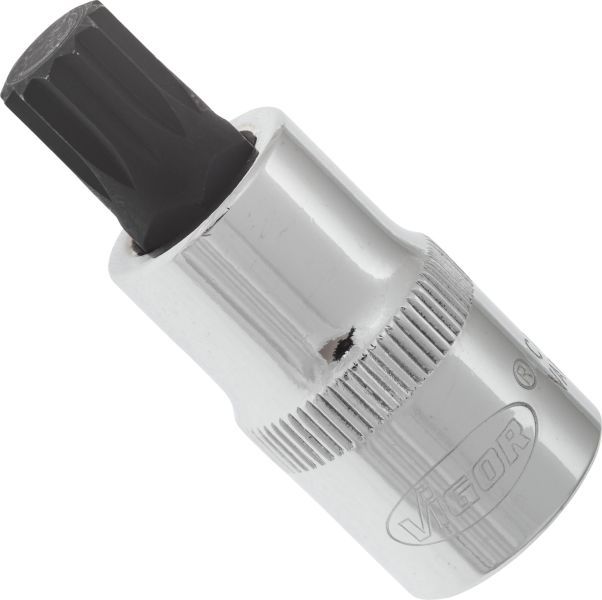 Padrun, VIGOR V2099