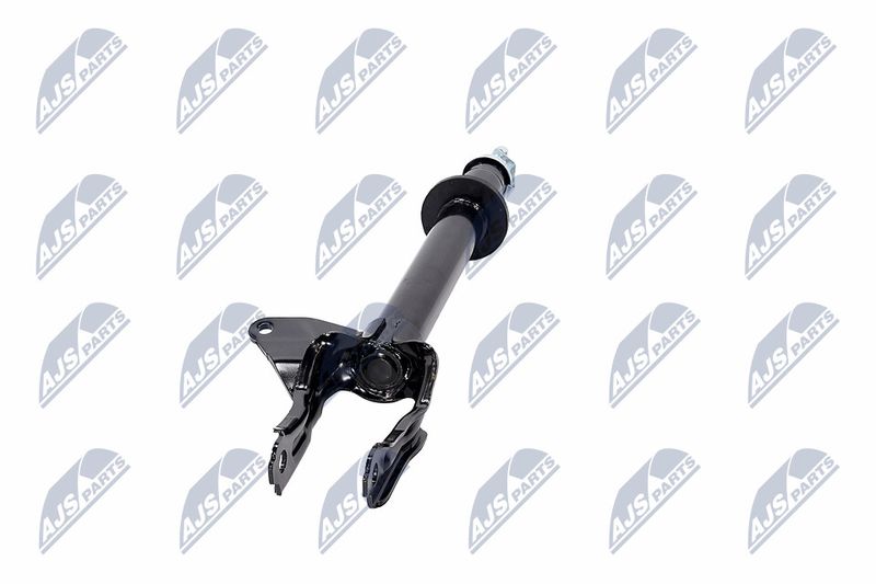 Amort, NTY A-CH-081