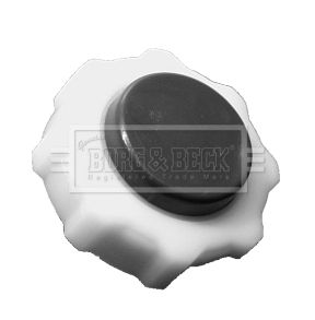 BRC97_185880.JPG