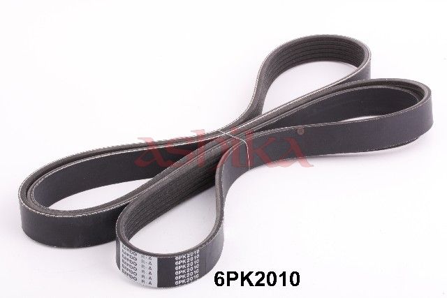 ASHIKA 112-6PK2010 - V formos rumbuotas diržas