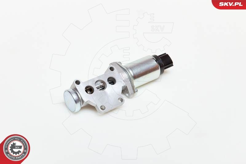 ESEN SKV 08SKV218 Idle Control Valve, air supply