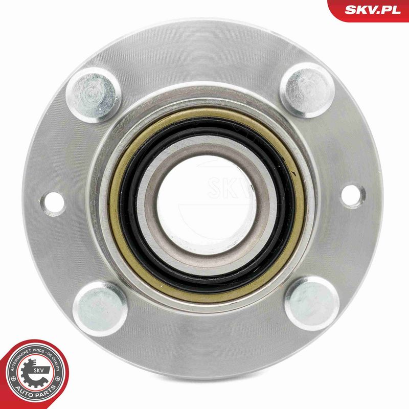 ESEN SKV 29SKV617 Wheel Bearing Kit