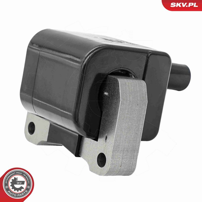 ESEN SKV 03SKV359 Ignition Coil