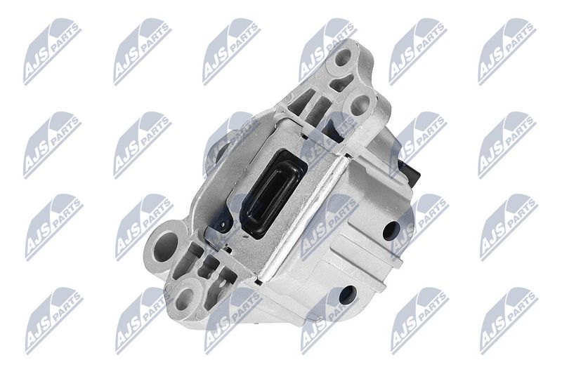 Paigutus, Mootor, NTY ZPS-CH-127