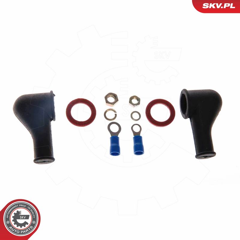 ESEN SKV 02SKV005 Fuel Pump