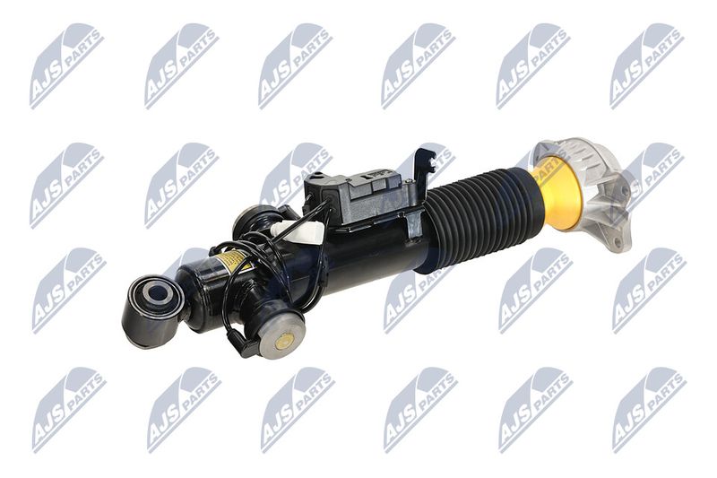 Amort, NTY A-BM-084