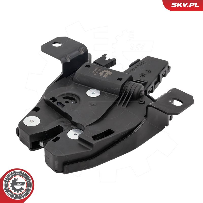 Tagaluugi sulgur, ESEN SKV...