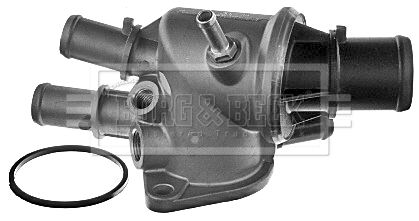 BBT181_186051.JPG