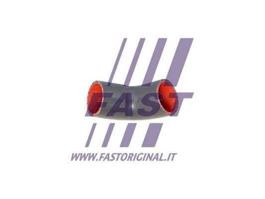 FT61716_1_1.JPG