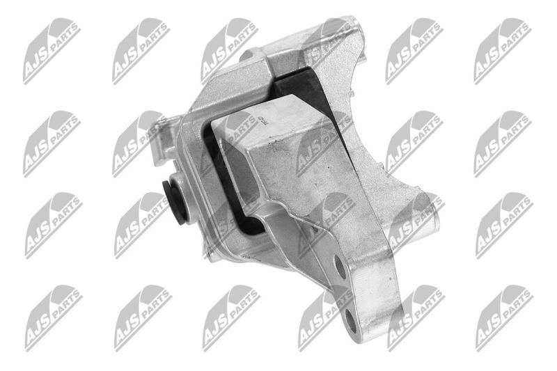 Paigutus, Mootor, NTY ZPS-FT-021