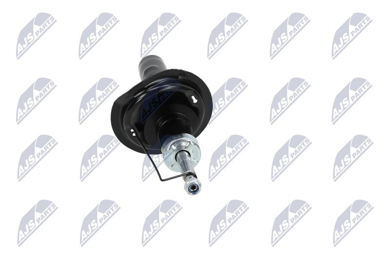 Amort, NTY A-CT-020