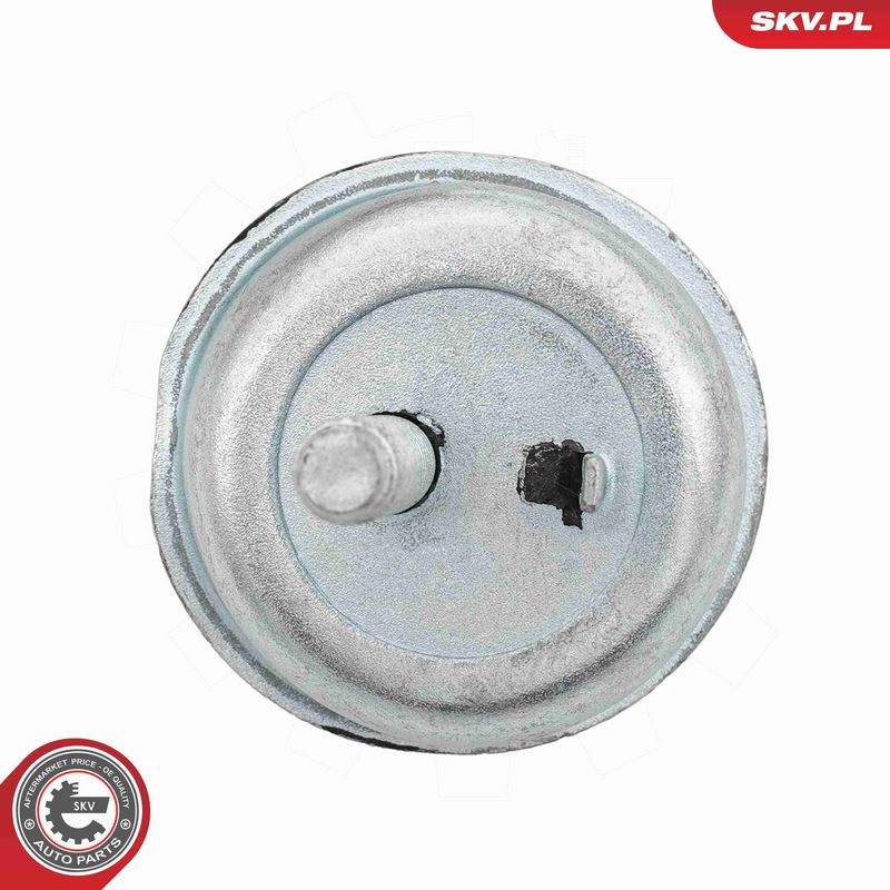 ESEN SKV 75SKV173 Variklio pagalvė