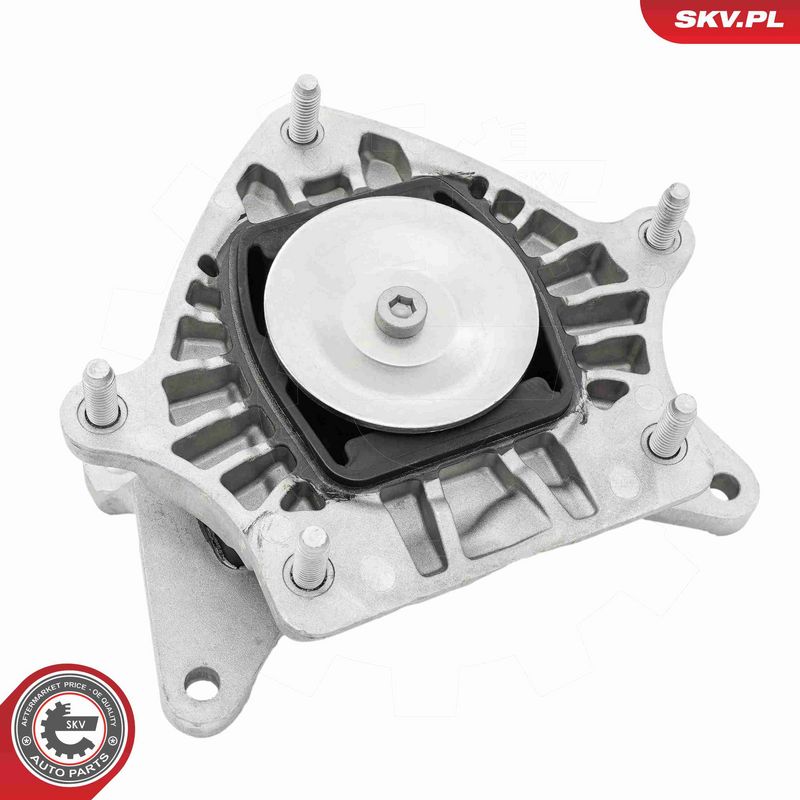 ESEN SKV 75SKV822 Automatinės pavarų dėžės pagalvė