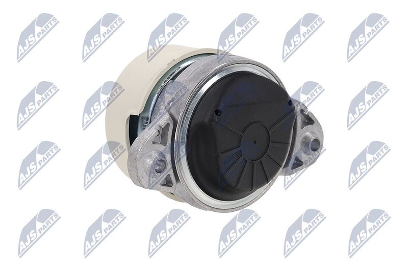 Paigutus, Mootor, NTY ZPS-ME-038