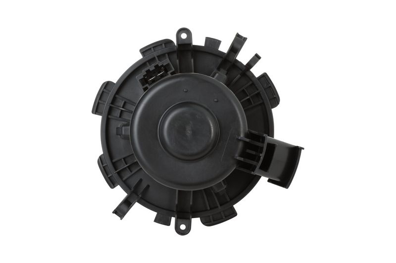 Prekė atitinka OEM kodą: 7701057556