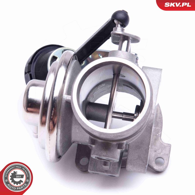 ESEN SKV 14SKV206 EGR Valve