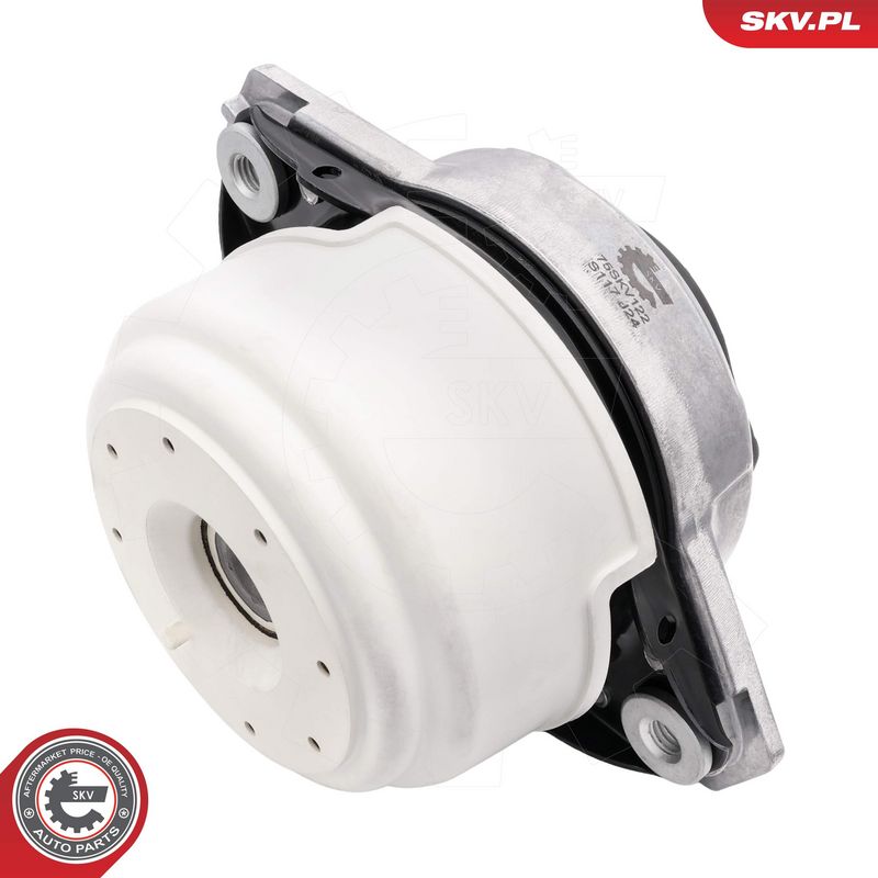 Paigutus, Mootor, ESEN SKV 75SKV122